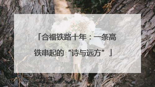 合福铁路十年：一条高铁串起的“诗与远方”