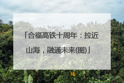 合福高铁十周年：拉近山海，融通未来(图)