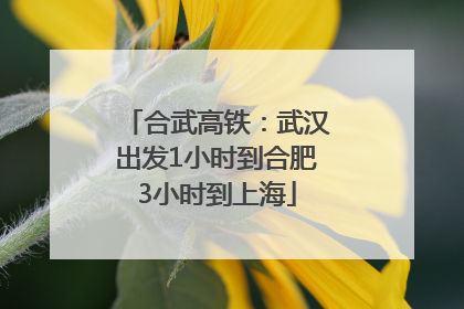 合武高铁：武汉出发1小时到合肥3小时到上海