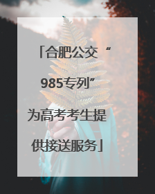 合肥公交“985专列”为高考考生提供接送服务