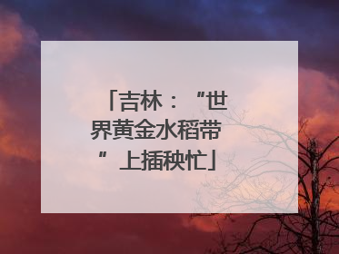 吉林：“世界黄金水稻带”上插秧忙