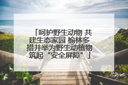 呵护野生动物 共建生态家园 榆林多措并举为野生动植物筑起“安全屏障”