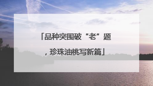 品种突围破“老”题，珍珠油桃写新篇