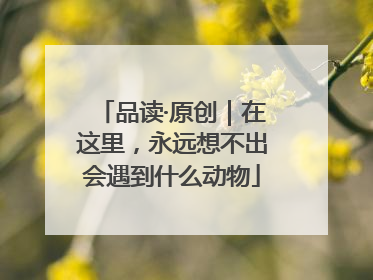 品读·原创｜在这里，永远想不出会遇到什么动物