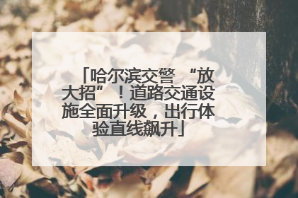哈尔滨交警 “放大招”！道路交通设施全面升级，出行体验直线飙升