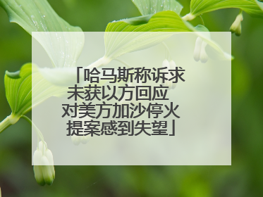 哈马斯称诉求未获以方回应 对美方加沙停火提案感到失望