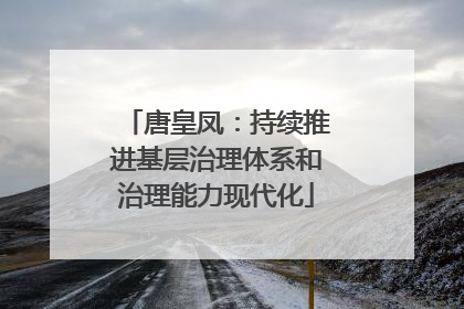 唐皇凤：持续推进基层治理体系和治理能力现代化