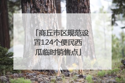 商丘市区规范设置124个便民西瓜临时销售点