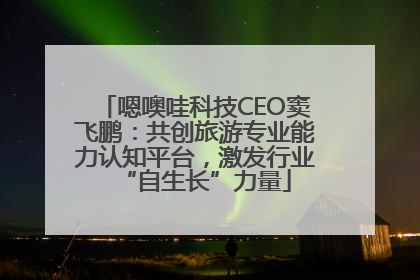 嗯噢哇科技CEO窦飞鹏：共创旅游专业能力认知平台，激发行业“自生长”力量