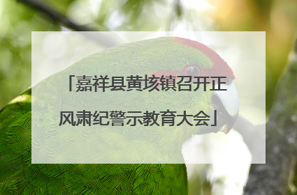 嘉祥县黄垓镇召开正风肃纪警示教育大会
