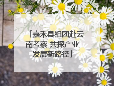 嘉禾县组团赴云南考察 共探产业发展新路径