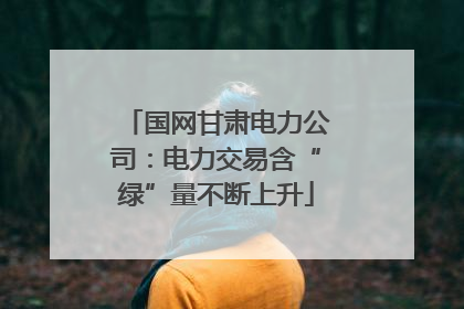 国网甘肃电力公司：电力交易含“绿”量不断上升