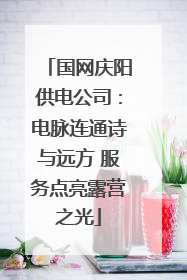 国网庆阳供电公司：电脉连通诗与远方 服务点亮露营之光