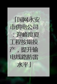 国网永安市供电公司：迎峰度夏工程按期投产，提升输电线路防雷水平