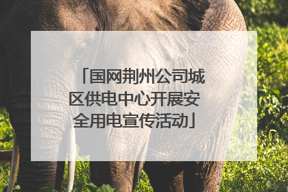 国网荆州公司城区供电中心开展安全用电宣传活动