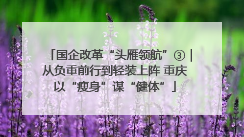 国企改革“头雁领航”③｜从负重前行到轻装上阵 重庆以“瘦身”谋“健体”