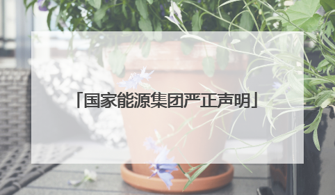国家能源集团严正声明