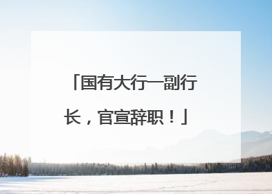 国有大行一副行长，官宣辞职！