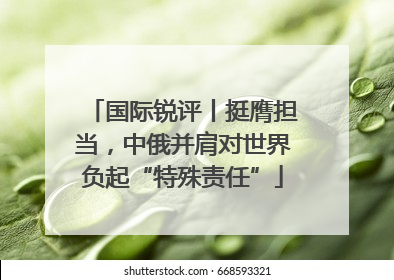 国际锐评丨挺膺担当，中俄并肩对世界负起“特殊责任”