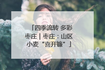 四季流转 多彩枣庄｜枣庄：山区小麦“喜开镰”