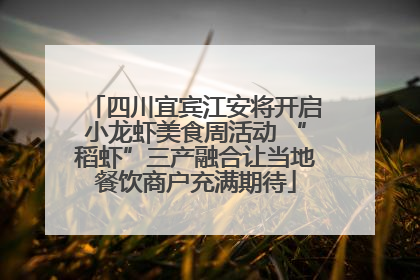 四川宜宾江安将开启小龙虾美食周活动 “稻虾”三产融合让当地餐饮商户充满期待