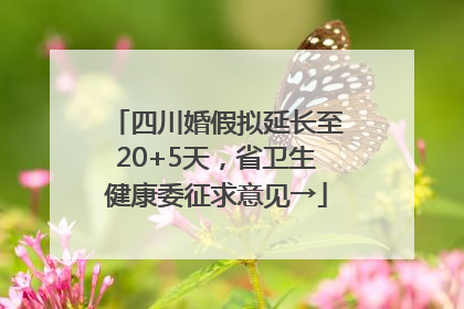 四川婚假拟延长至20+5天，省卫生健康委征求意见→