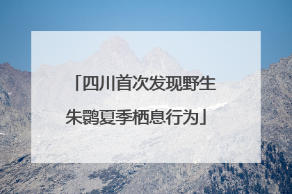 四川首次发现野生朱鹮夏季栖息行为