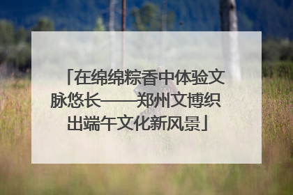 在绵绵粽香中体验文脉悠长——郑州文博织出端午文化新风景
