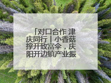对口合作 津庆同行丨小香菇撑开致富伞，庆阳开边镇产业振兴有“蘑”力