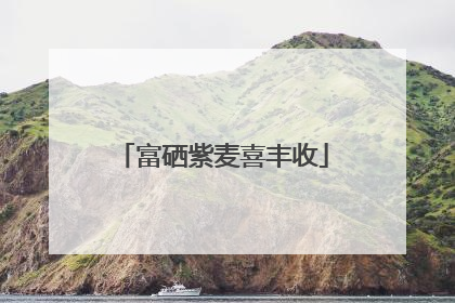 富硒紫麦喜丰收