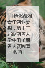 孵化湖湘青年创业梦想，第十二届湖南省大学生电子商务大赛圆满收官