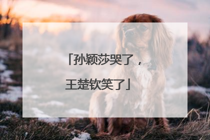孙颖莎哭了，王楚钦笑了