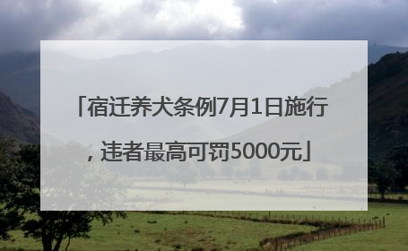 宿迁养犬条例7月1日施行，违者最高可罚5000元