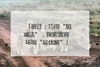 宿迁：巧用“加减法”，探索营商环境“最优解”