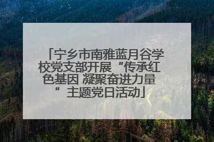 宁乡市南雅蓝月谷学校党支部开展“传承红色基因 凝聚奋进力量”主题党日活动
