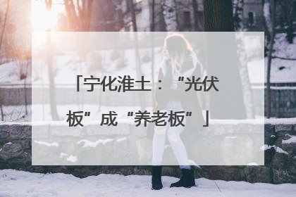 宁化淮土：“光伏板”成“养老板”