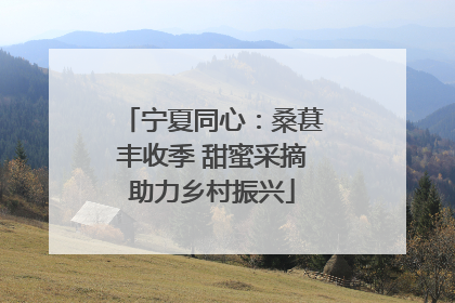 宁夏同心：桑葚丰收季 甜蜜采摘助力乡村振兴