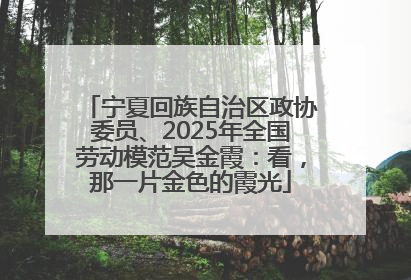 宁夏回族自治区政协委员、2025年全国劳动模范吴金霞：看，那一片金色的霞光