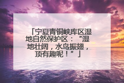 宁夏青铜峡库区湿地自然保护区：“湿地壮阔，水鸟振翅，顶有趣呢！”