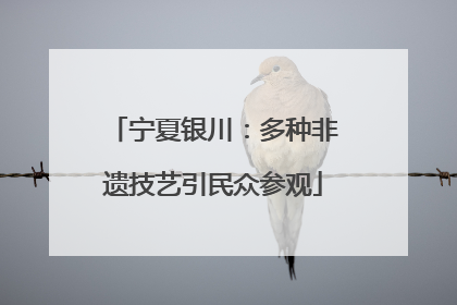 宁夏银川：多种非遗技艺引民众参观