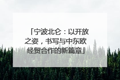 宁波北仑：以开放之姿，书写与中东欧经贸合作的新篇章