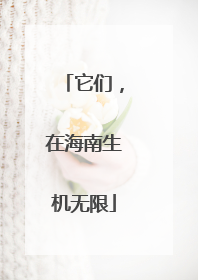 它们，在海南生机无限