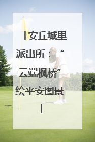 安丘城里派出所：“云端枫桥”绘平安图景