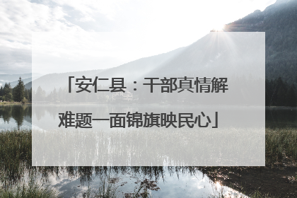 安仁县：干部真情解难题一面锦旗映民心