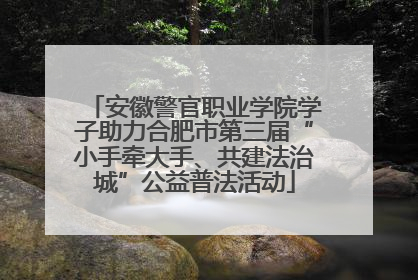 安徽警官职业学院学子助力合肥市第三届“小手牵大手、共建法治城”公益普法活动