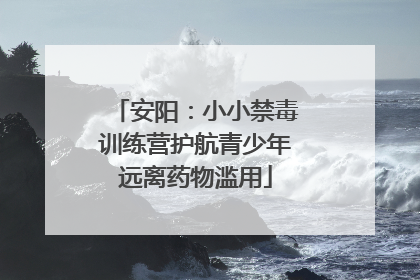 安阳：小小禁毒训练营护航青少年远离药物滥用