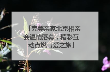 完美亲家北京相亲会温情落幕，精彩互动点燃寻爱之旅