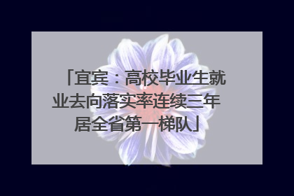 宜宾：高校毕业生就业去向落实率连续三年居全省第一梯队
