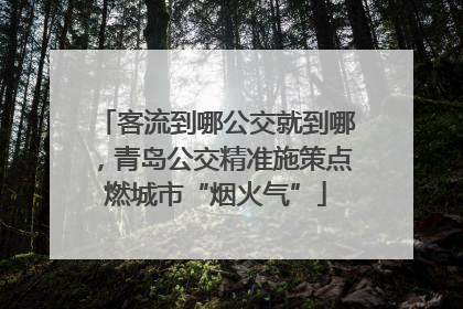客流到哪公交就到哪，青岛公交精准施策点燃城市“烟火气”