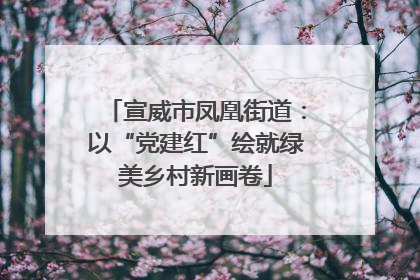 宣威市凤凰街道：以“党建红”绘就绿美乡村新画卷